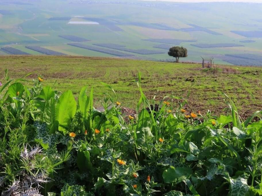 Suite Kolibri In Galilee Semadar ภายนอก รูปภาพ